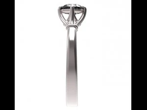 ring 55 3D Print Model