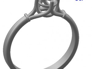 ring 55 3Dプリントモデル