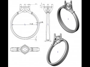 ring 55 3Dプリントモデル