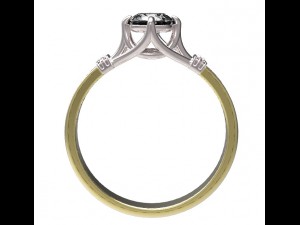ring 56 3D Print Model