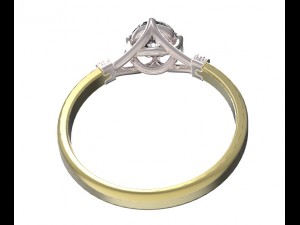 ring 56 3D Print Model