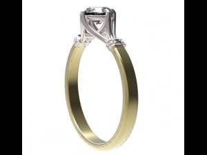 ring 56 3D Print Model
