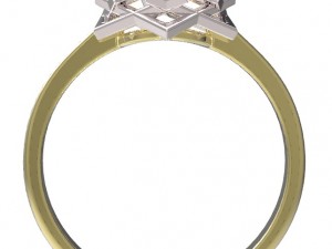 ring 58 3D Print Model