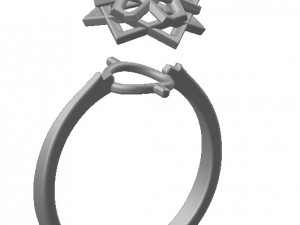 ring 58 3D Print Model
