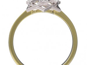 ring 59 3D Print Model