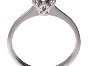 ring 60 3D Print Model