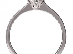 ring 60 3D Print Model