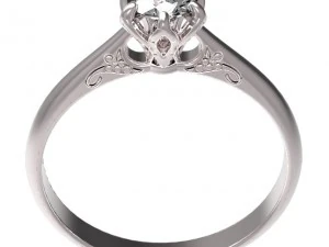 ring 61 3D Print Model
