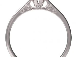 ring 61 3D Print Model