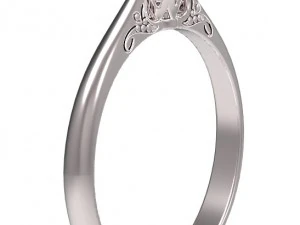 ring 61 3D Print Model