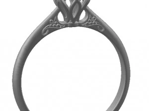 ring 61 3D Print Model