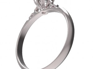 ring 62 3D 프린트 모델