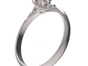 リング62 3Dプリントモデル