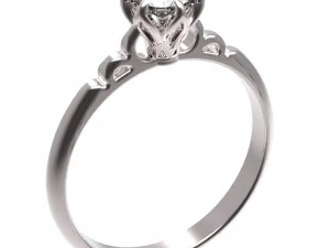 リング62 3Dプリントモデル