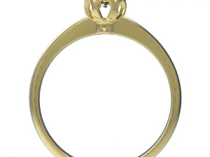 ring 64 3D Print Model