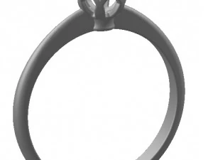ring 64 3D Print Model