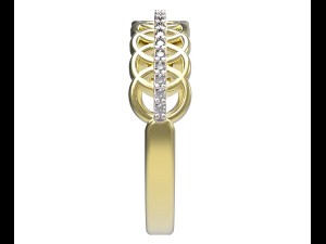 ring 65 Model Cetak 3D