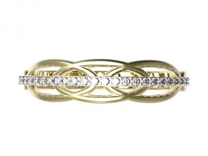 ring 66 3D Druckmodell