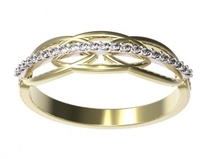 ring 66 3D Druckmodell