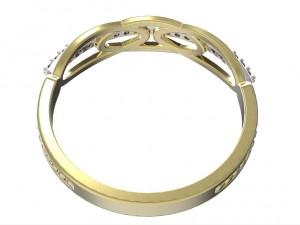 ring 66 3D Druckmodell