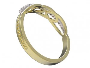 ring 66 3D Print Model