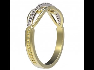 ring 66 3D Druckmodell