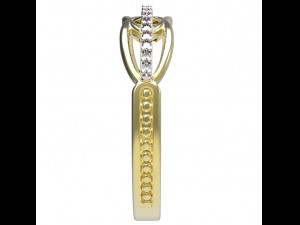 ring 66 3D Druckmodell