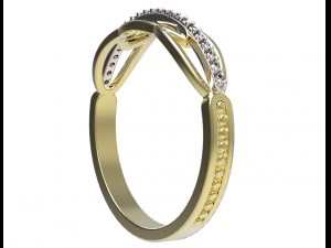 ring 66 3D Druckmodell