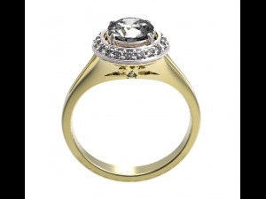 ring 72 3D-Druckmodell