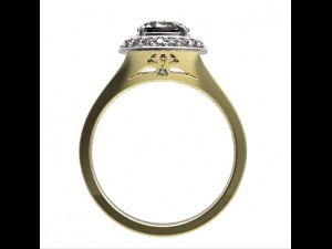 ring 72 3D-Druckmodell