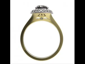 anillo 72 Modelo de impresión 3D