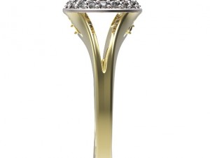 ring 72 3D-Druckmodell