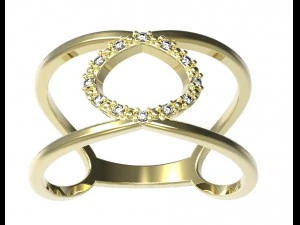 ring 73 3D Print Model