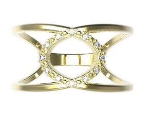 ring 73 3D Print Model