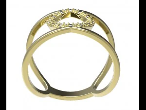 ring 73 3D Print Model