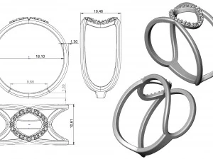 ring 73 3D Print Model