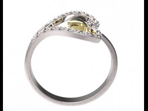 ring 74 3D Print Model