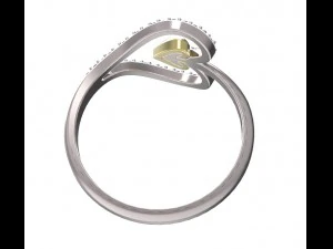 ring 74 3D Print Model