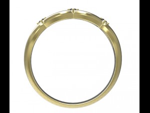 ring 75 3D-Druckmodell