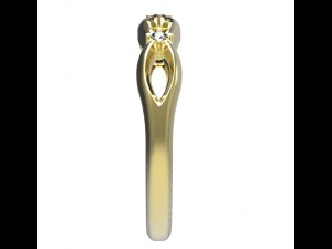ring 75 3D-Druckmodell