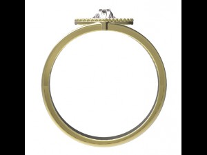 ring 76 3D Print Model
