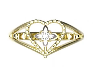 ring 76 3D Print Model