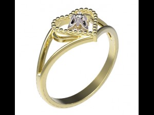 ring 76 3D Print Model