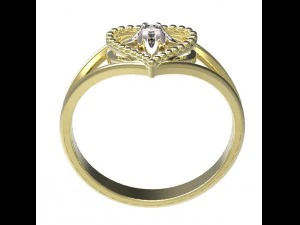 ring 76 3D Print Model