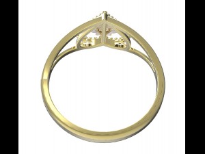 ring 76 3D Print Model
