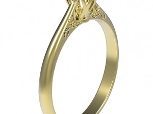 ring 61-2 3D 프린트 모델