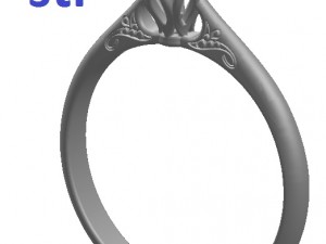 ring 61-2 3D 프린트 모델