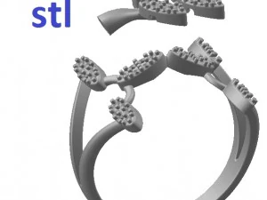 ring 77-1 3D Print Model