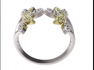 ring 77-1 3D Print Model
