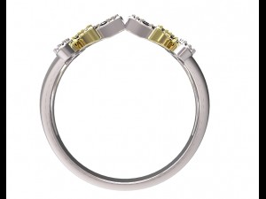 ring 77-1 3D Принт Модель